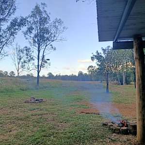 Gums on Billabong