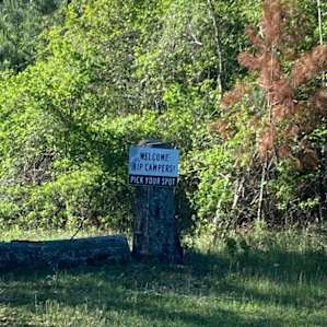 Lowcountry Camping near Beach