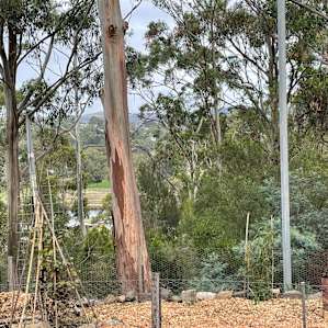 View to the private campfire area