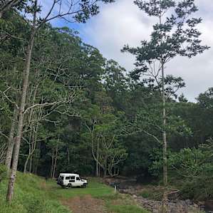 Junction Campsite