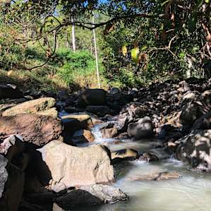 Junction Campsite creek
