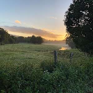 The River Orchard - Flats site