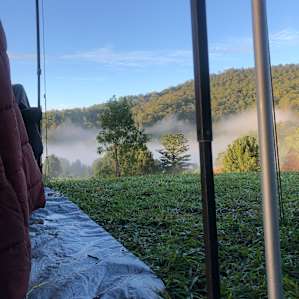 Mountain View Campsites