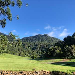 Mountain View Campsites