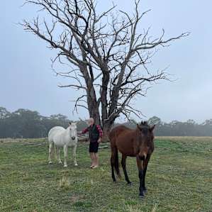 Mount Sugarloaf Avoca