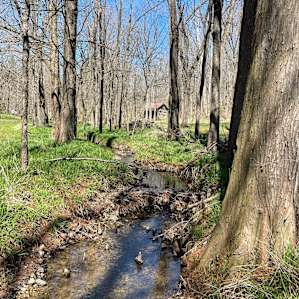 McCully Heritage Project