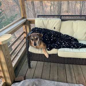 Resting after a long day of play