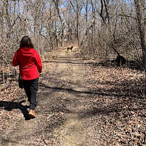 Trail hike