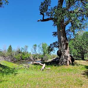 Raw Beautiful Wine Country Land