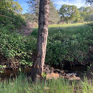 Personal Creekside Camping
