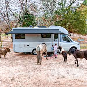 Silk Purse Farm RV Camping