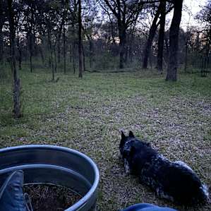 Night time around the “fire”