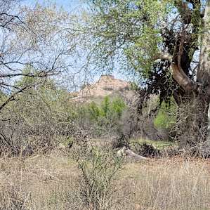 View of Tuzigoot from the campground.