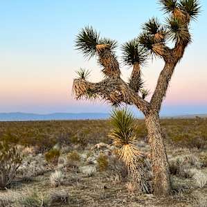 Desert Camping with Turbine Views