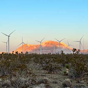 Desert Camping with Turbine Views