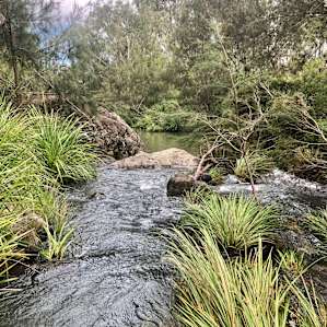 The Waterhole