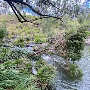 The Waterhole