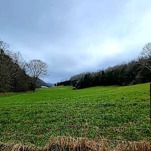 Secluded RV Setting