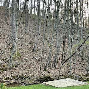 Camping platforms/A frame.meadow