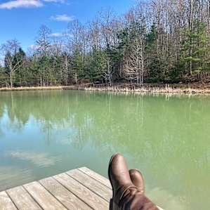 The Harrican Lakehouse