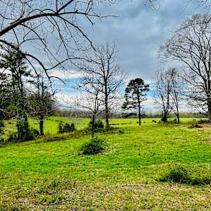 3 Field Car Sites Among Farmland