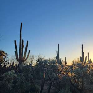 Amber Sunrise desert retreat