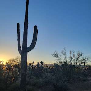 Amber Sunrise desert retreat
