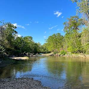 Camp Topisaw Creekside Sandbar