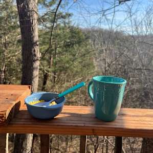 Coffee & eggs with a treetop view.