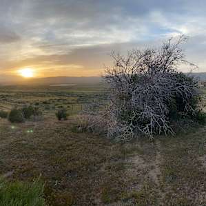 Wagon Camp site