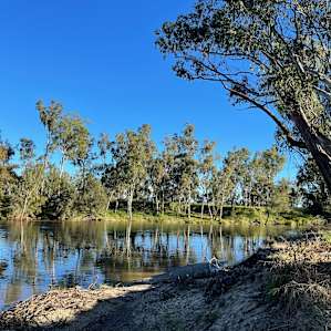 Beautiful Dumaresq River