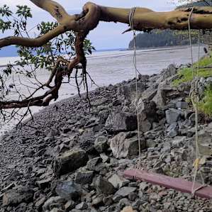 The Chuckanut Rock