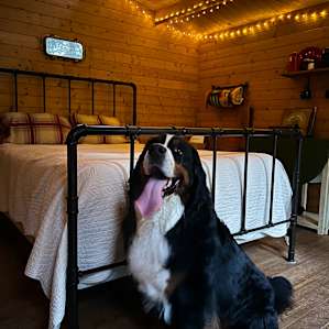 Close-in quaint cabin!