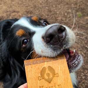 A custom dog treat holder for Kev