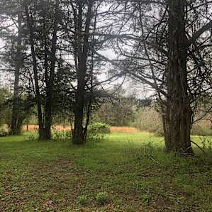 Sawmill Ridge