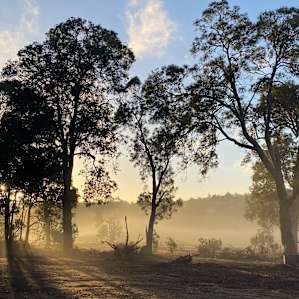 Redgum Hill