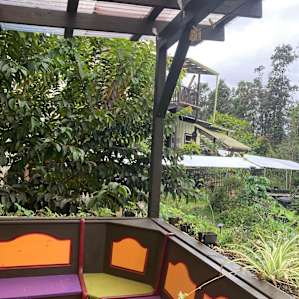Faris' Farm
