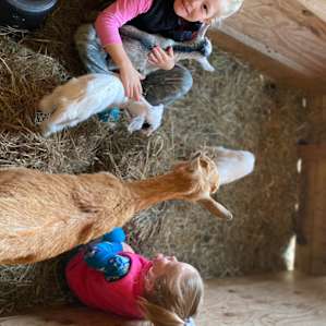 Rare Find: Farm/Animal Sanctuary