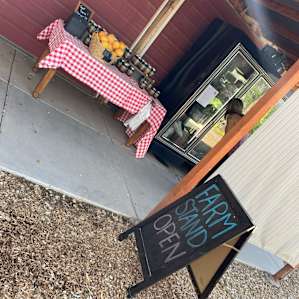 Bohemian Hideaway Refrigerated Box