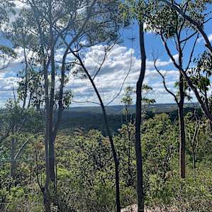 View from Mt Olive