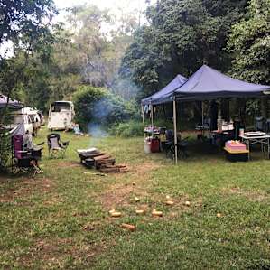 Big Fig Camp