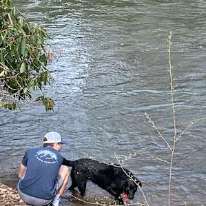 Peace and Quiet Along the River!