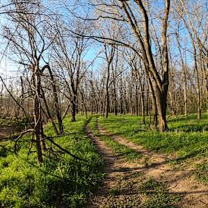 Riverside Hideaway NWA 60acres