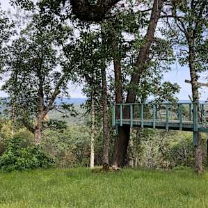 Treehouse at site #6