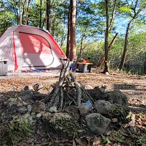 Campsite 1 on the Santa Fe River