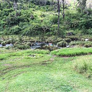 Creek always running - deeper holes to swim in
