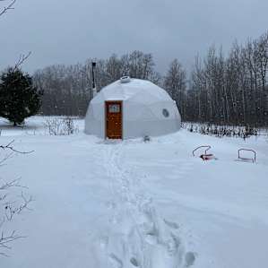 Twisting Twig Gardens Geodesic Dome