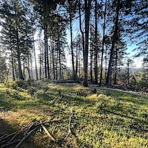 Morning Views
