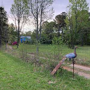Front field near Shakori Hills