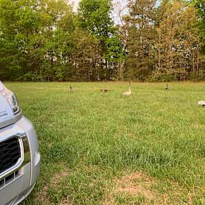Front field near Shakori Hills